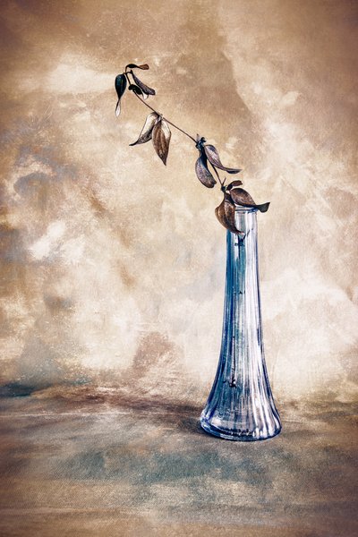  - Cicek Kiral