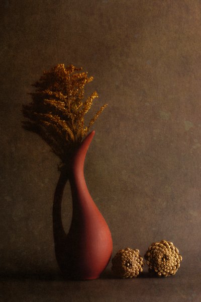  - Cicek Kiral