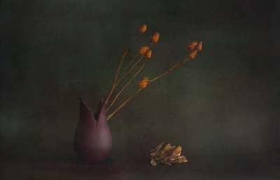  - Cicek Kiral