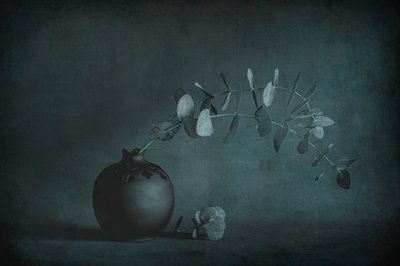  - Cicek Kiral