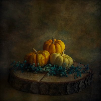  - Cicek Kiral