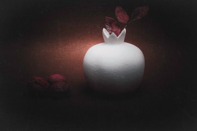  - Cicek Kiral