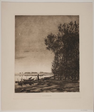 Arbres près d