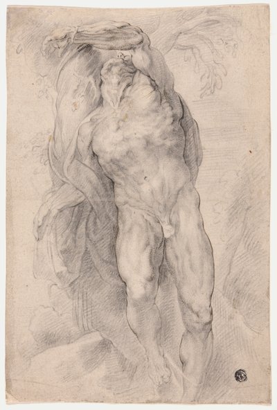 Homme nu attaché à un arbre - Circle of Peter Paul Rubens