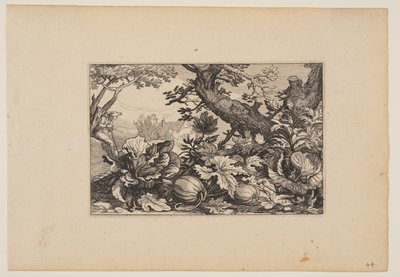 Arbre et melons, de Paysages (Verscheyden aerdige Lanthuysen...) - Claes Jansz. Visscher
