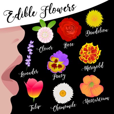 Fleurs comestibles - Claire Huntley