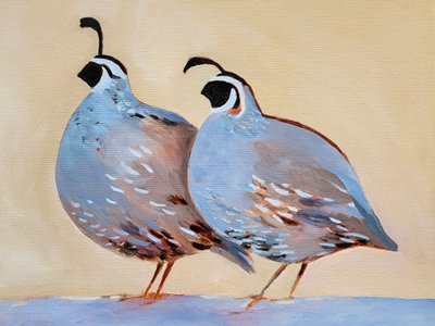 Un charmant couple de cailles - Claire Whitehead
