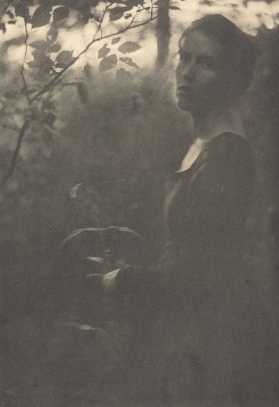Bord de la forêt, soir, 1900 - Clarence H White