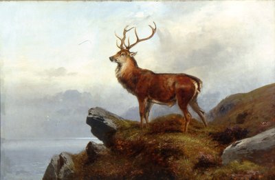 En alerte - Clarence Roe