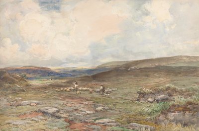 Lande avec Moutons et Berger - Claude Hayes