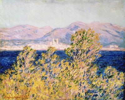 Vue du Cap d