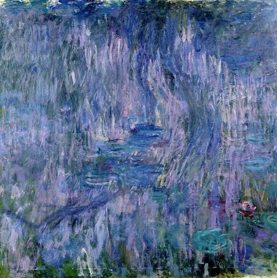 Nénuphars et reflets d