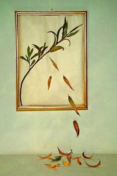 - Codruta Georgescu