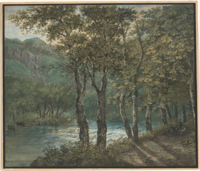 Lumière du soleil filtrant à travers les arbres le long de la rivière Sihl - Conrad Gessner