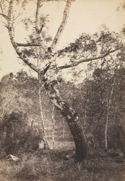 Étude d
