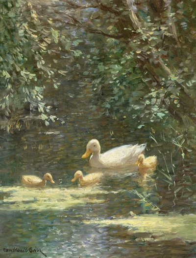 Mère canard avec canetons dans l