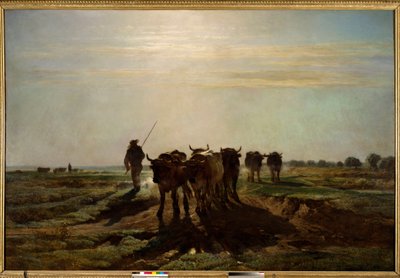 Les bœufs allant au labour, effet du matin - Constant Emile Troyon