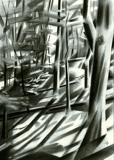 Résumé : Ombres de la forêt - Corné Akkers