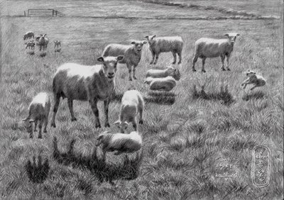 Dessin représentant un paisible pâturage de moutons - Corné Akkers