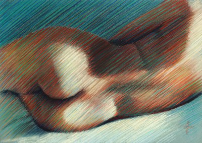Les courbes sensuelles du corps - Corné Akkers