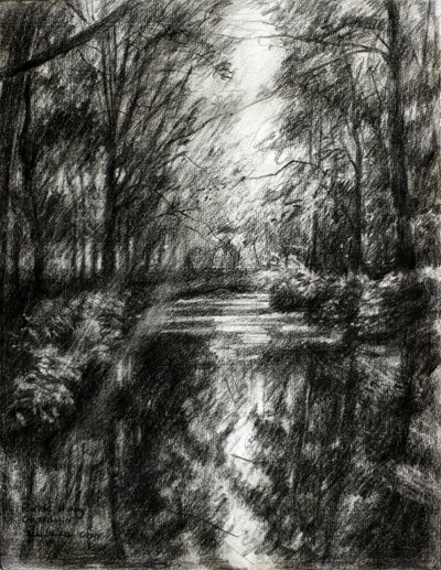 Sentier forestier sinueux - Corné Akkers