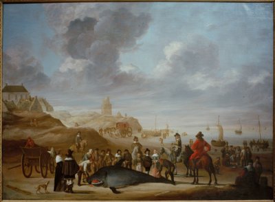 Baleine sur la plage de Scheveningen - Cornelis Beelt