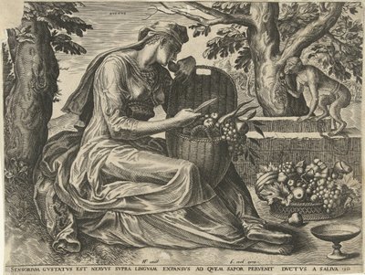 Le Goût (Gustus) (De vijf zintuigen) - Cornelis Cort