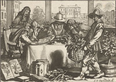 Botaniste - Cornelis Ploos van Amstel (signed by artist)