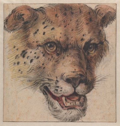 La tête d