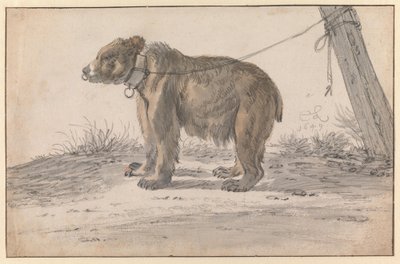 Un ours attaché à une corde - Cornelis Saftleven