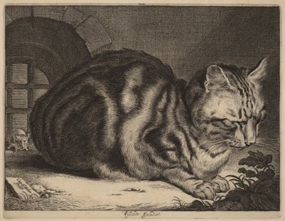 Le Grand Chat - Cornelis Visscher