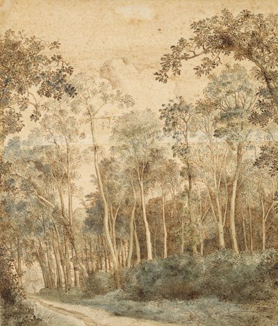 Paysage boisé - Hendrick Cornelisz. Vroom