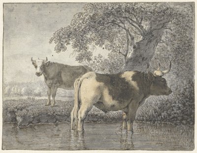 Deux vaches sous un arbre près de l