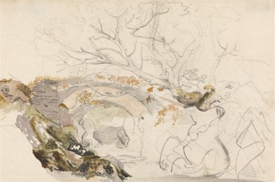 Pont et arbres - Cornelius Varley
