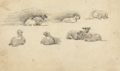 Étude de moutons - Cornelius Varley