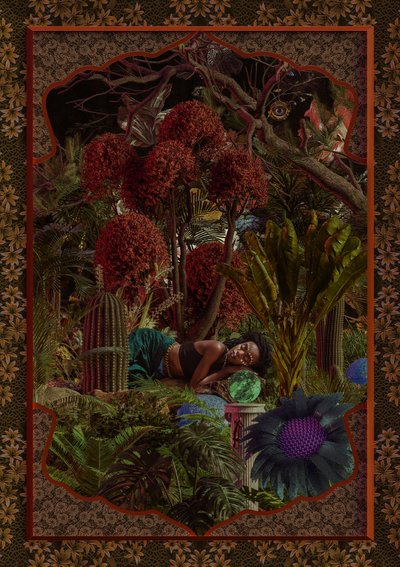 Le jardin fantastique de la femme endormie - CosmoZach