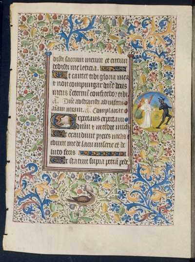 Feuille d
