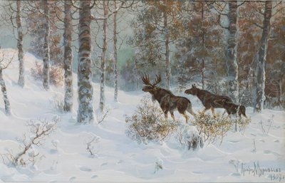 Paysage d