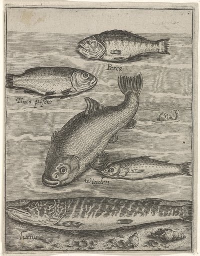 Feuille d