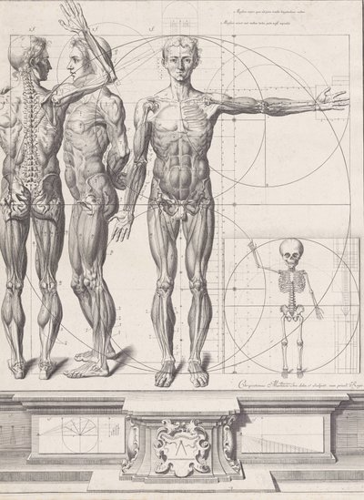 Planche pour l