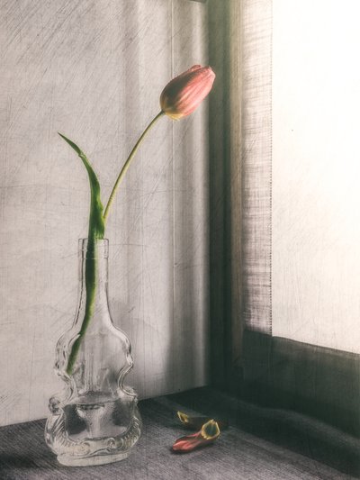  - Cristiano Giani