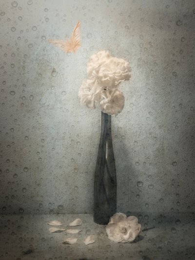  - Cristiano Giani