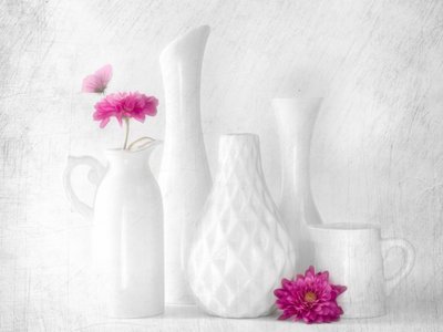 Fleurs roses, vases blancs - Cristiano Giani