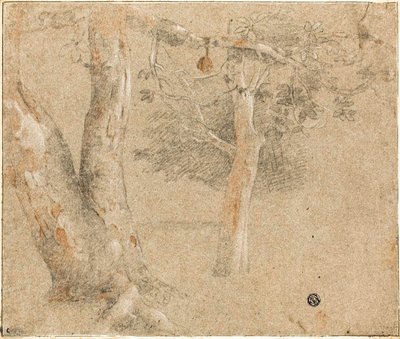 Croquis d