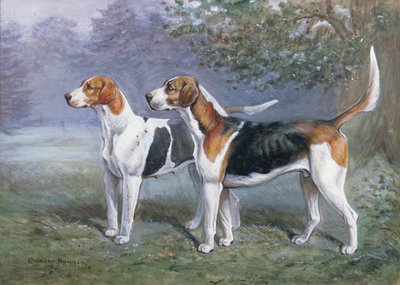 Une chienne et un chien de chasse dans un paysage - Cuthbert Bradley
