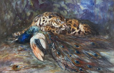 Jaguar avec paon - Cuthbert Edmund Swan