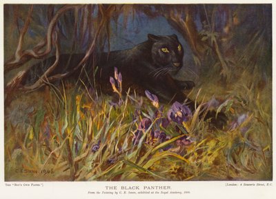 La Panthère Noire - Cuthbert Edmund Swan