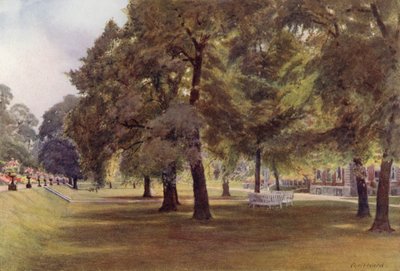 Arbres sur la Pelouse à Marlborough House - Cyril Ward
