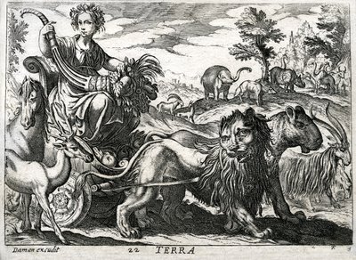 Terra : allégories de la Terre - Daman