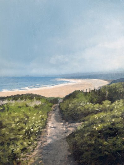 Plage de Gwithian - Dan Hobday